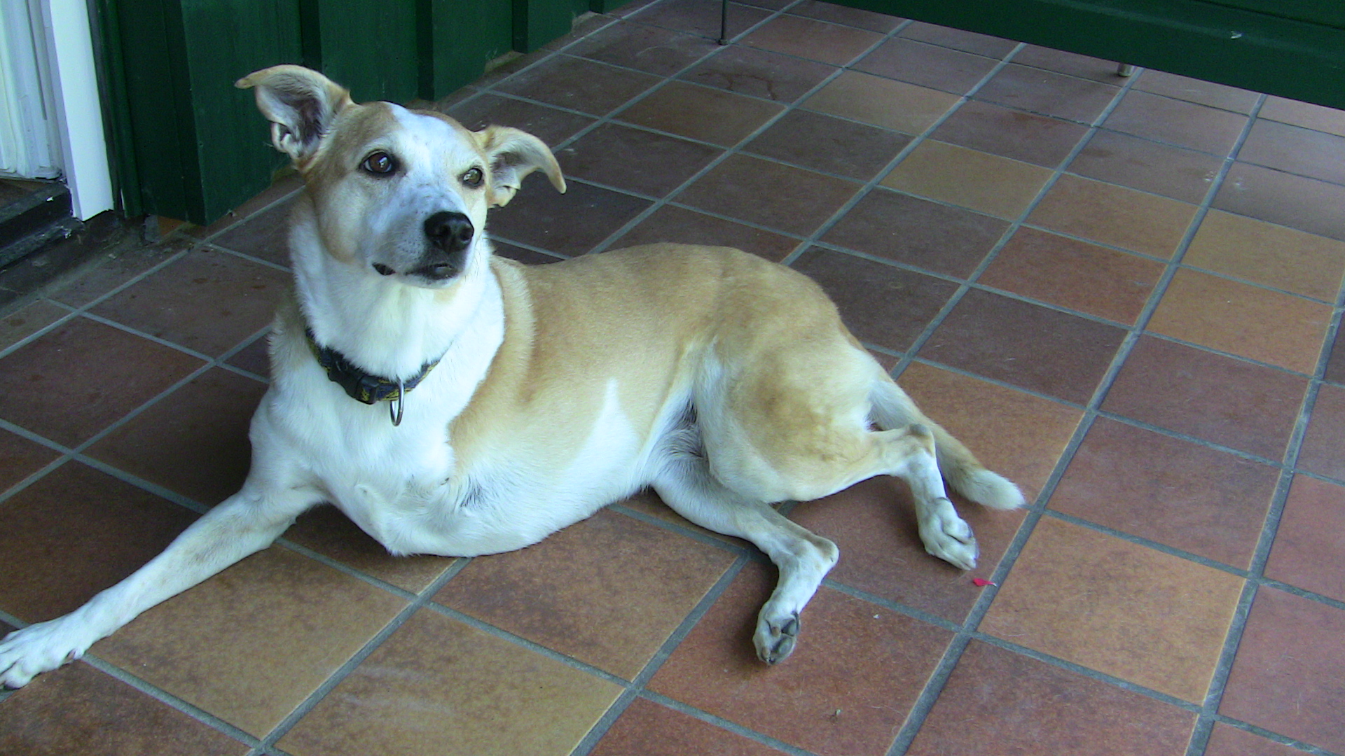 Kira - Behinderung kein Handicap.jpg (1920 x 1080)